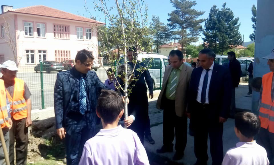 Öğrencilerin Ağaç Dikme Kampanyasına Yoğun İlgi