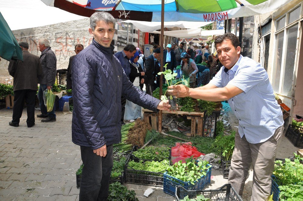 Simav’da Organik Sebze Fidesi Pazarı