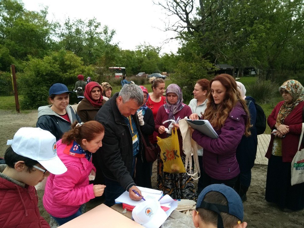 Yöresel Yenilebilir Ot Çeşitleri Toplama Yarışması