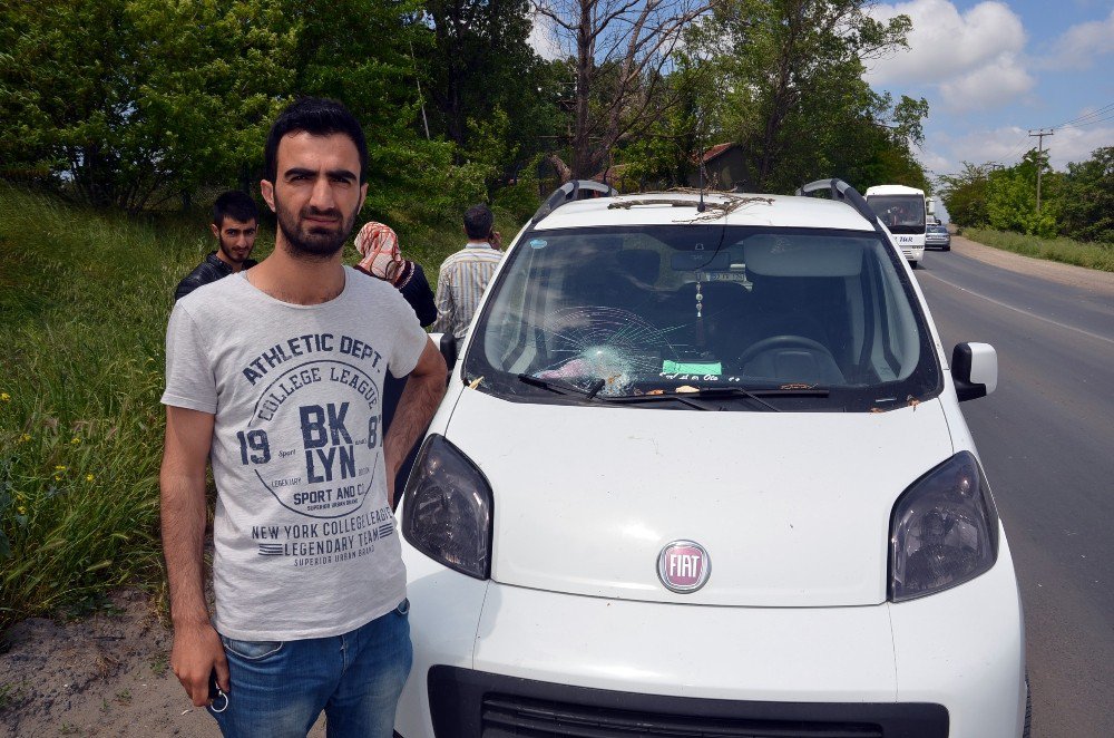 Seyir Halindeki Aracın Üzerine Ağaç Devrildi