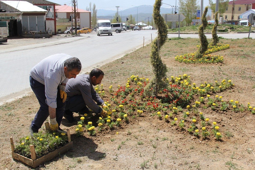 Başkale Belediyesinden Çiçek Ekimi