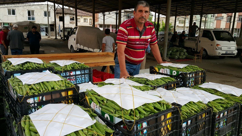 Bezelye Fiyatları Üreticiyi Memnun Etmedi