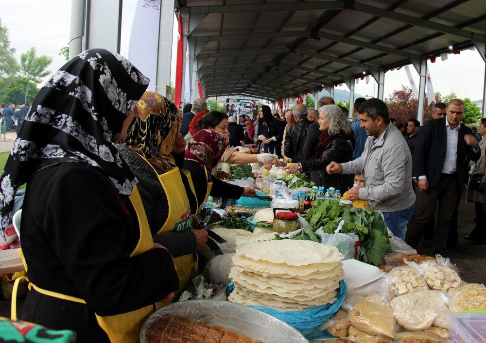 Samsun’da 3. Samsun Yöresel Ot Yemekleri Festivali