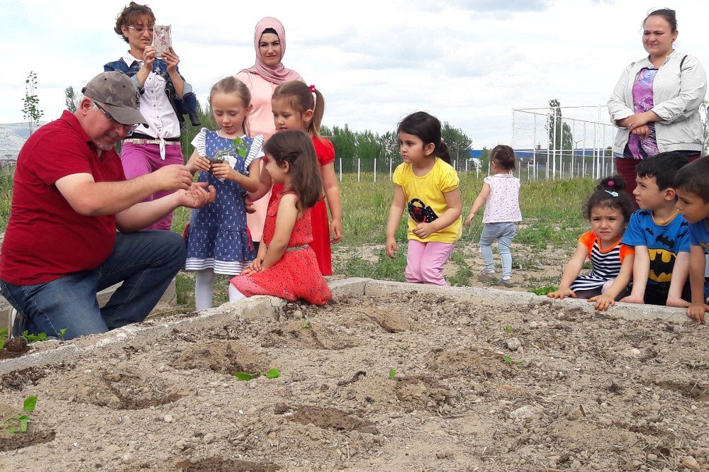 ‘Şenlikli Toplum’ Çocukları Fidan Dikti