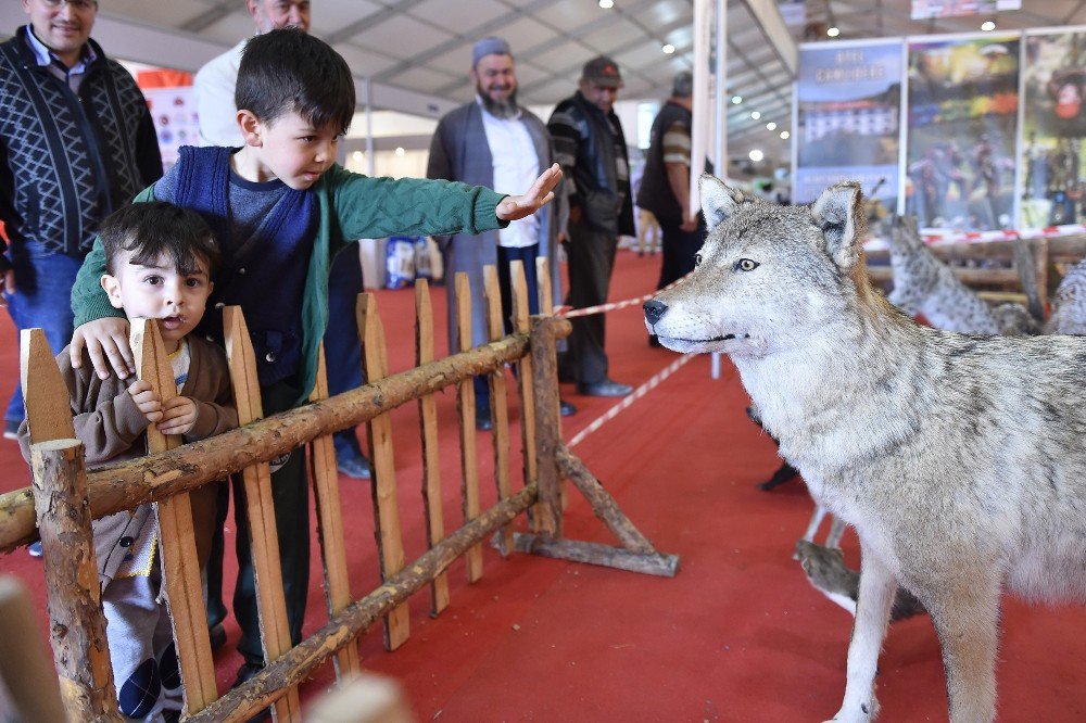 Başkent’te "Anadolu Çoban Fuarı" Gerçekleştirildi