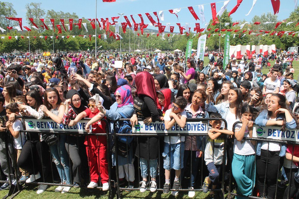 Beykoz’da Çevre Festivali Ve Yeşil Okul Projesi Etkinlikleri’ne Yoğun İlgi