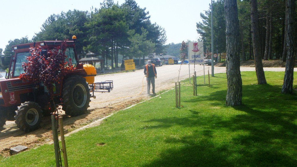 Gölpark Mesire Alanında Yabani Otla Mücadele Çalışması Başlattı