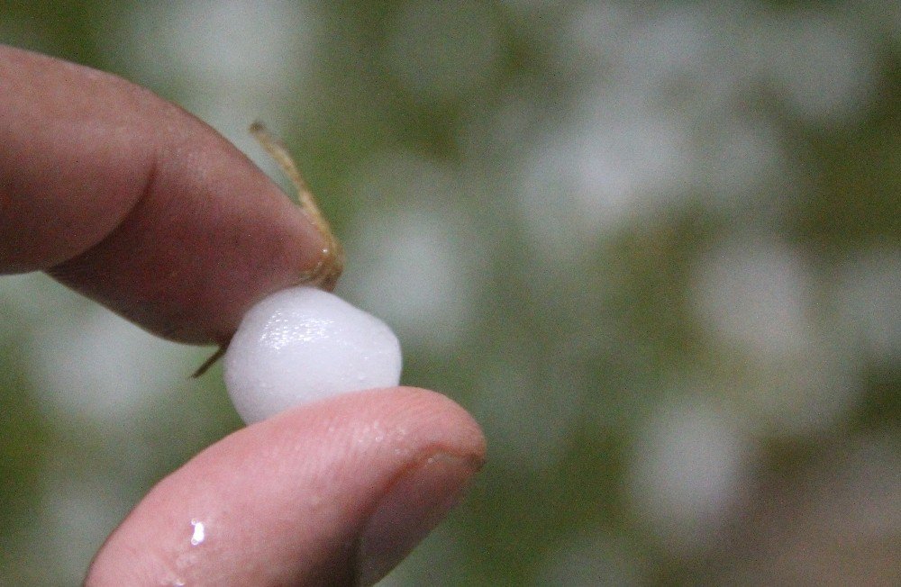 Elazığ’da Dolu Etkili Oldu