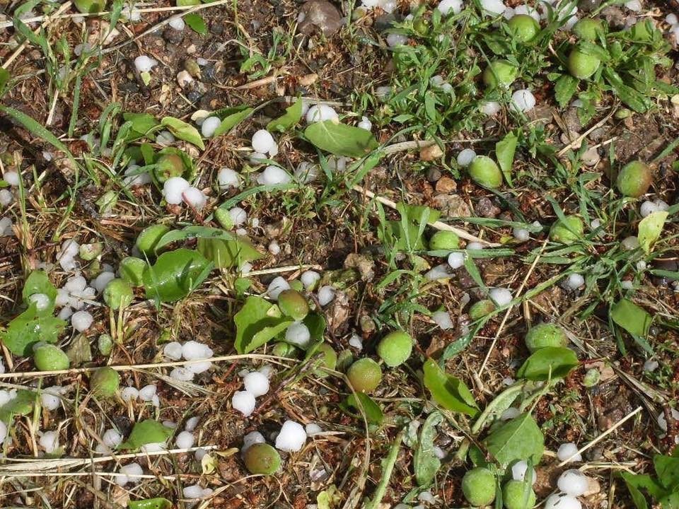 Malatya’da Dolu Yağışı