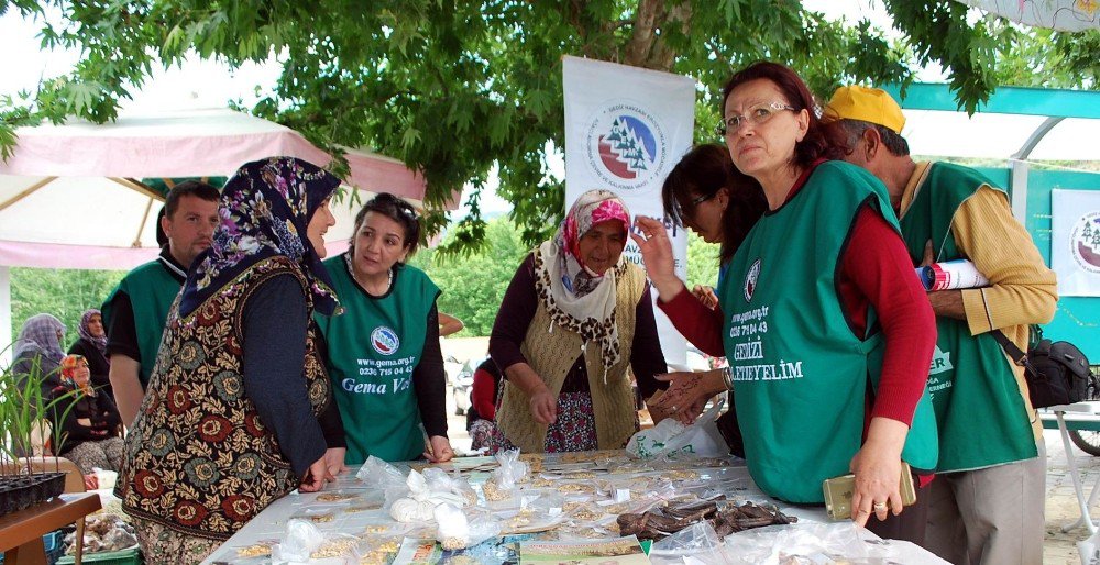 Yerli Tohumlar Manisa’da Takas Edildi