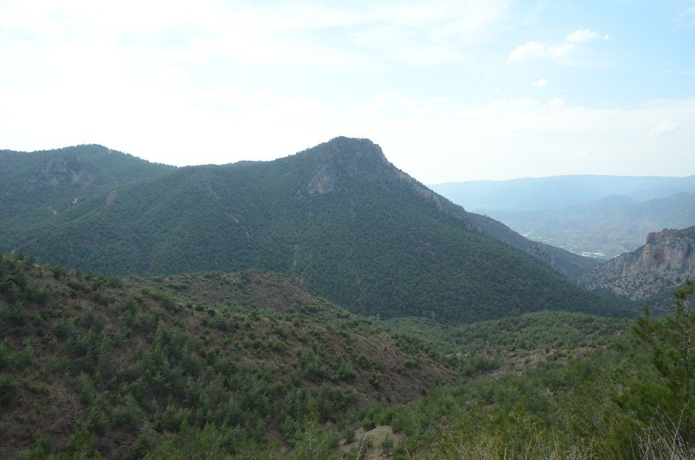 Karadeniz Değil Sarıcakaya