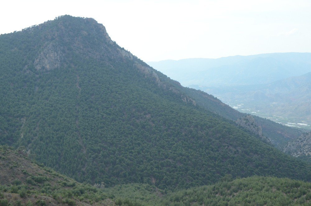 Karadeniz Değil Sarıcakaya