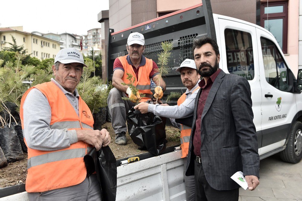 Mamak’ta Ücretsiz Fidan Dağıtımı