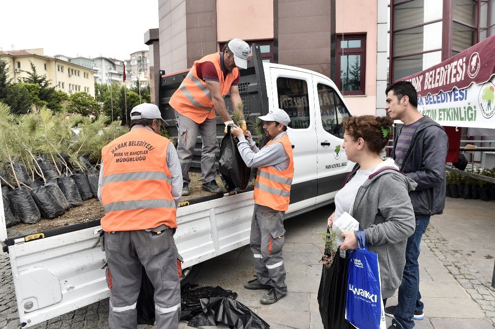 Mamak’ta Ücretsiz Fidan Dağıtımı