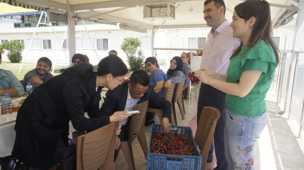 Kirazda Hedef Çin Pazarı