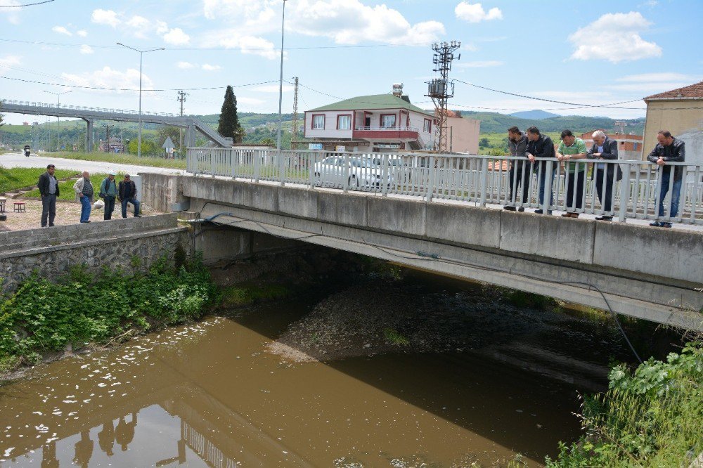 Balık Ölümleri Dereköyü Ayağa Kaldırdı