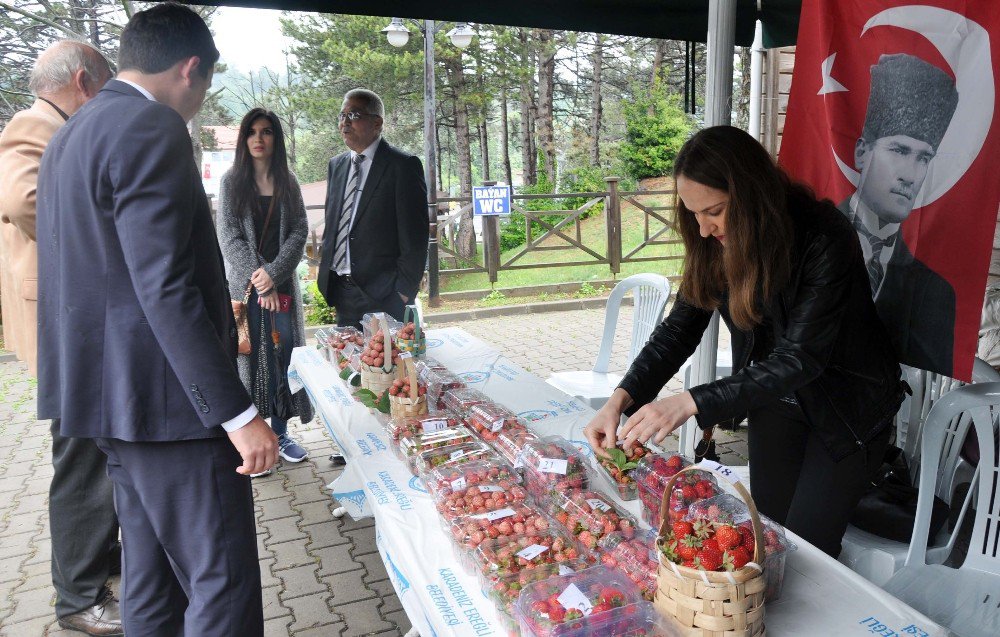 En Güzel Osmanlı Çileği’ne Ödül Verildi