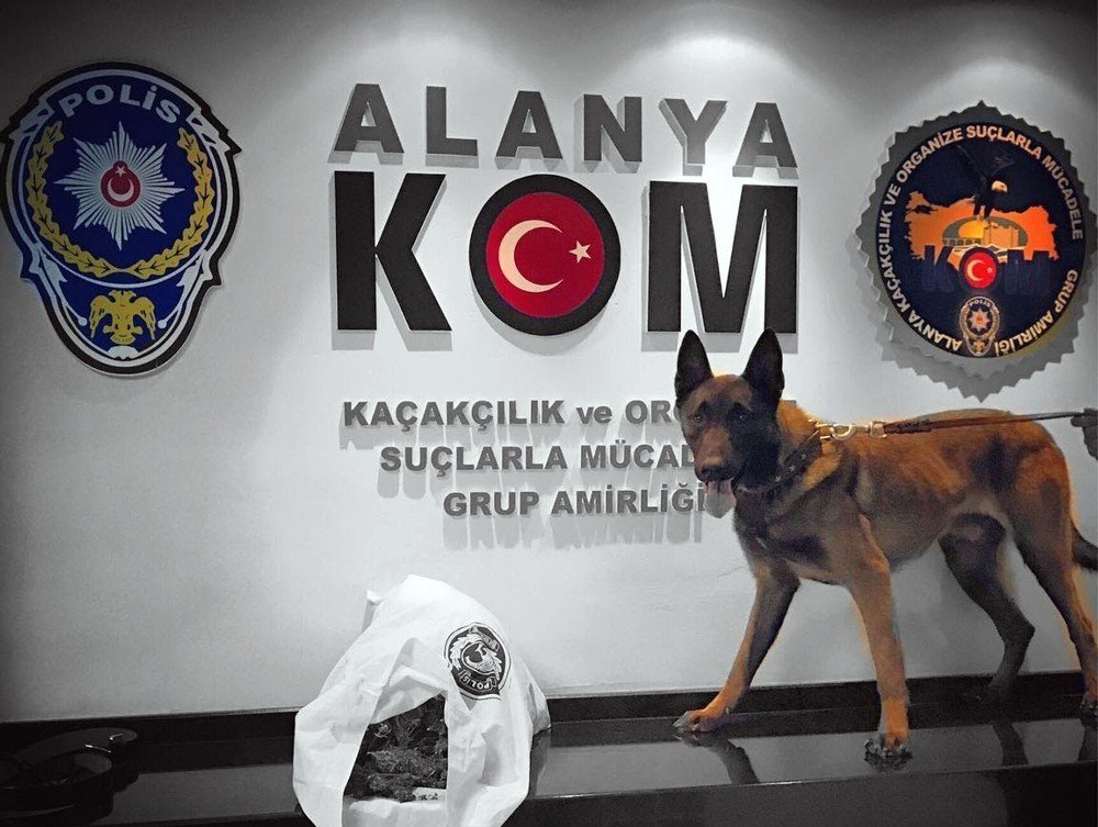 Otomobildeki Uyuşturucu Polis Köpeği ’Esco’ya Takıldı