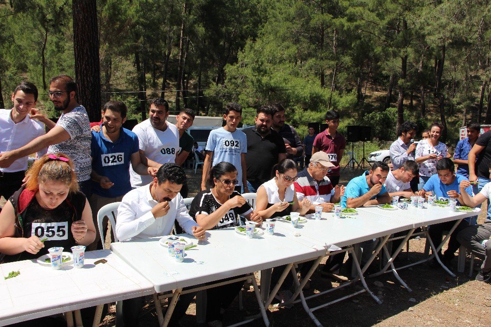 Chp’liler Gençlik Pikniğinde Buluştu