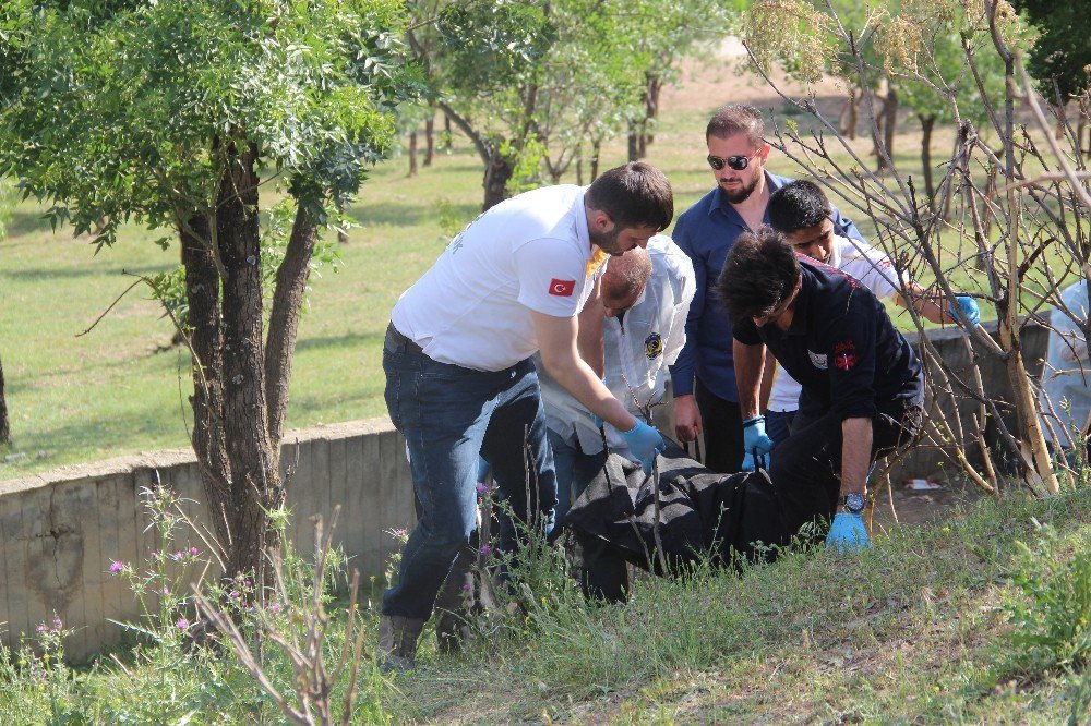 Batman’da Ağaca Asılı Ceset Bulundu