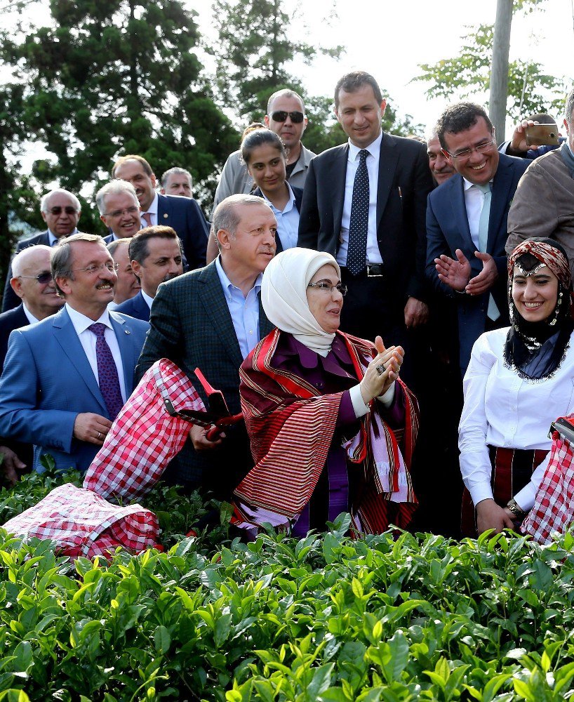 Taşçı: “Türkiye Daha Da Güçlenecek”