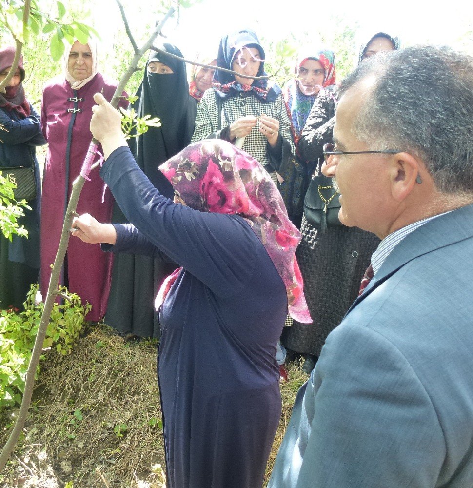 Gürsu’da “Altın Makaslı Kadınlar” Yetişiyor