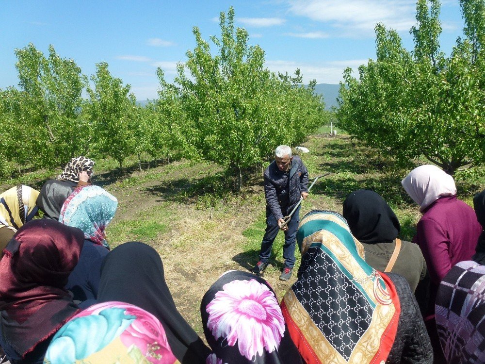 Gürsu’da “Altın Makaslı Kadınlar” Yetişiyor