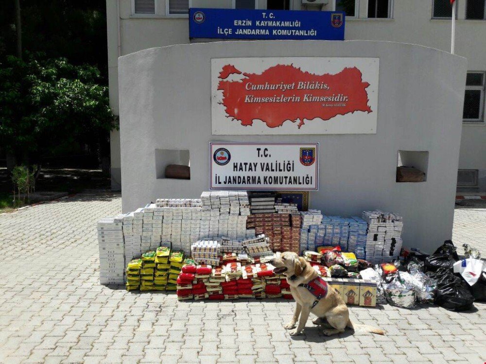 Hatay’da Kaçakçılık Operasyonu