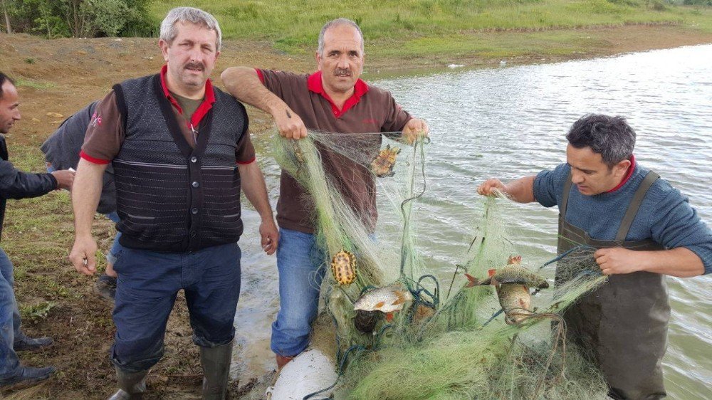 Ağlara Takılan Canlıları Ekipler Kurtardı