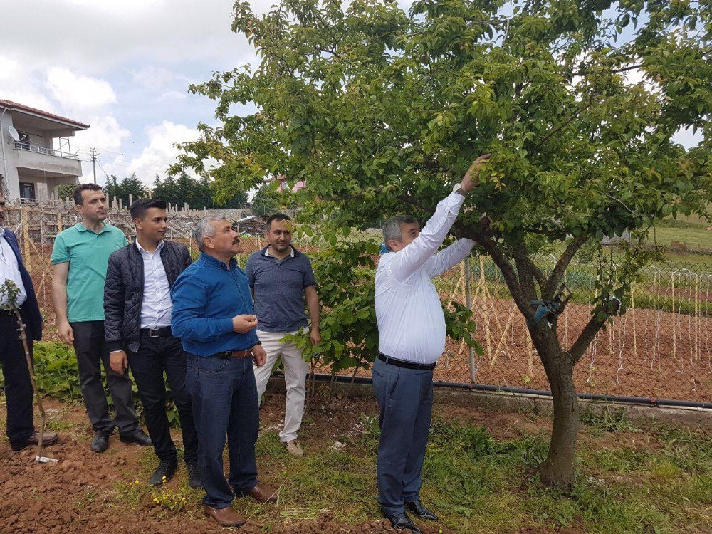 Başkan Baran Körfez’in Köylerini Ziyaret Etti