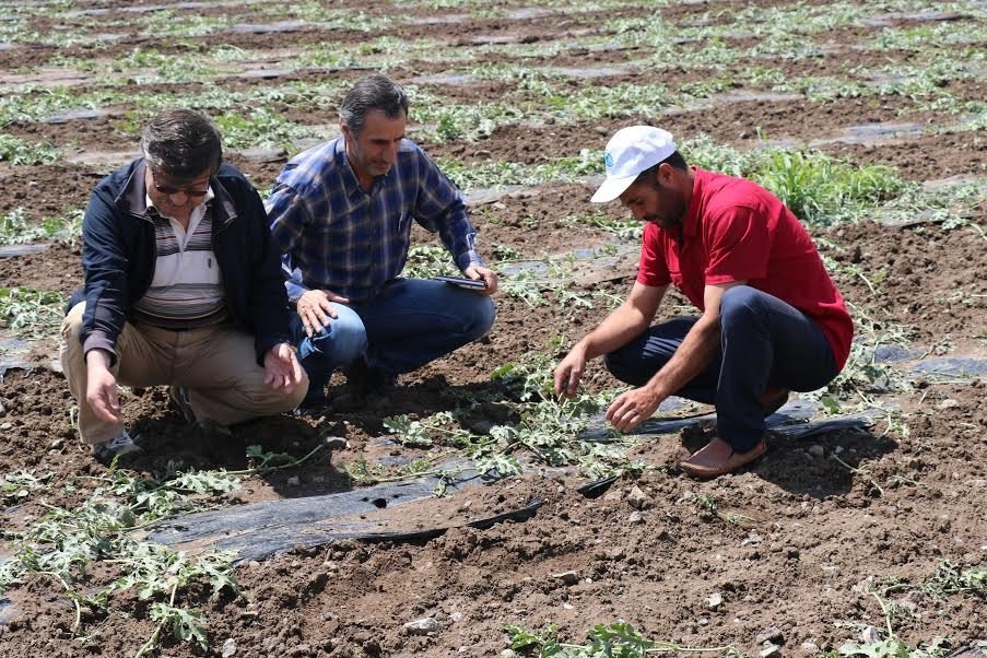 Dolu Elazığ’ın 82 Köyünde Zarara Yol Açtı