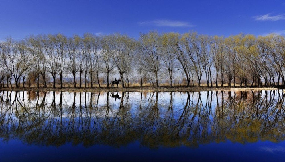 Fotoğraf Yarışması Sonuçlandı