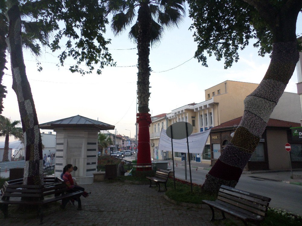 Mudanya’da Ağaçlar Rengarenk