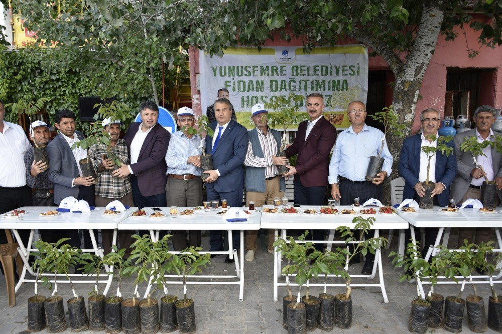 Yuntdağlı Üretici Cevizle Kalkınacak