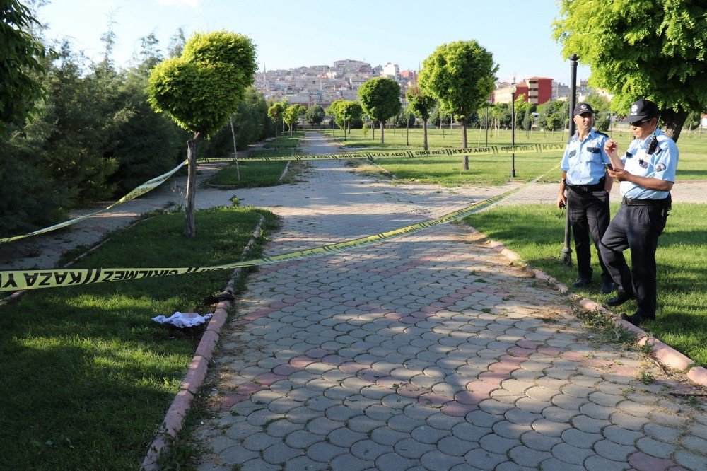 Parkta Oynayan Çocuklar Bebek Cesedi Buldu