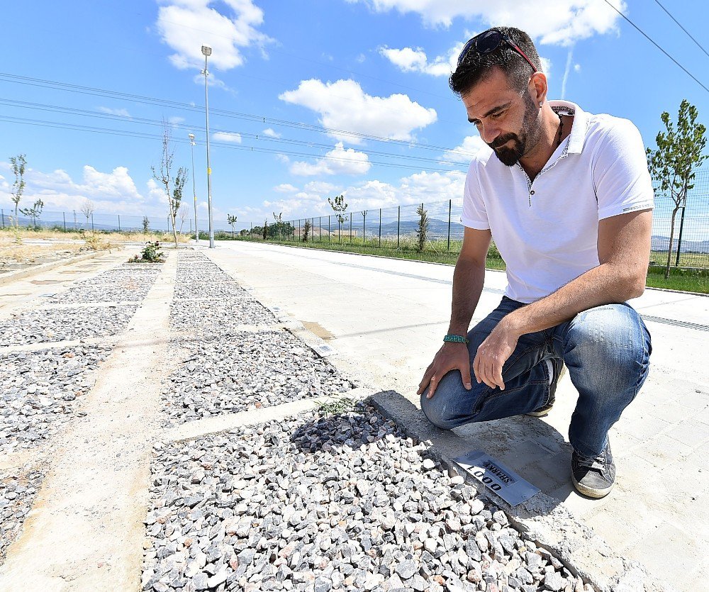 Büyükşehir Sokak Hayvanlarının Hatırasını Yaşatıyor