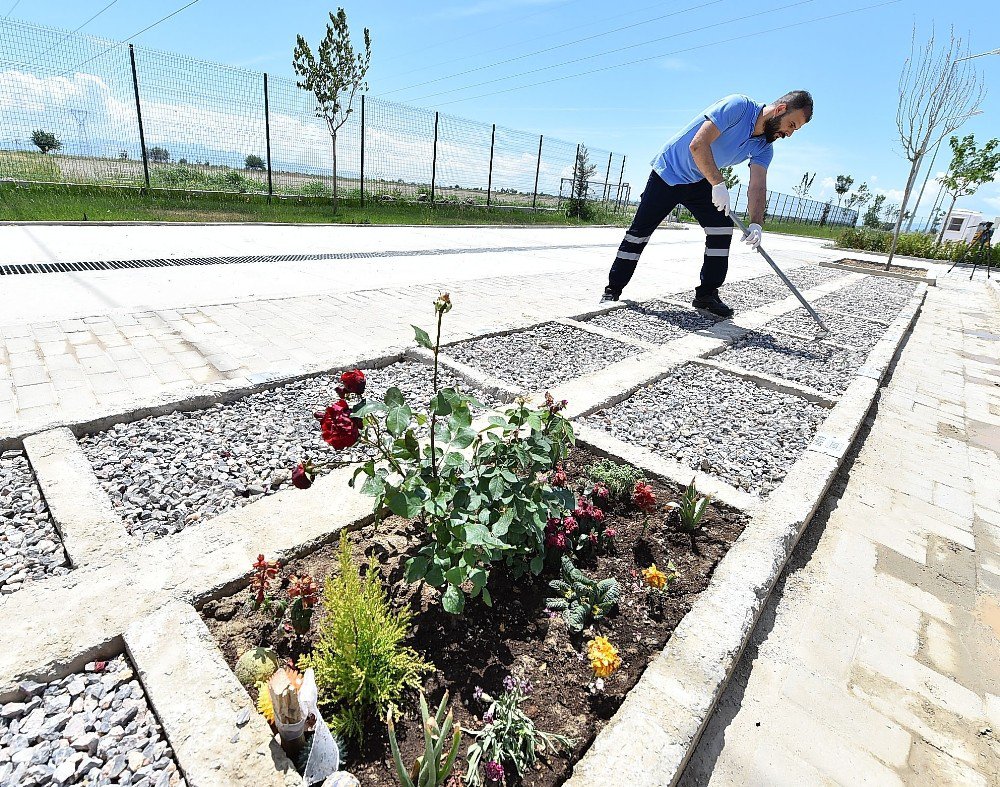 Büyükşehir Sokak Hayvanlarının Hatırasını Yaşatıyor