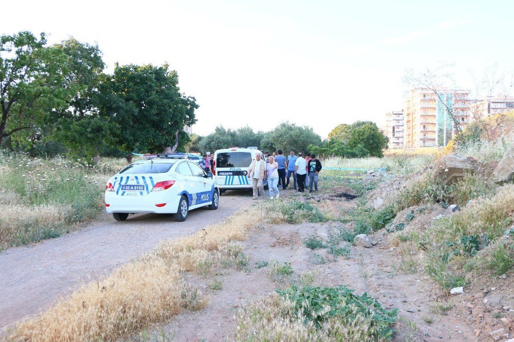 İzmir’de Zeytinlik Alanda Erkek Cesedi Bulundu