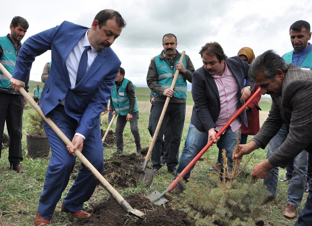 Kars Denetimli Serbestlik Müdürlüğü Hatıra Ormanı Oluşturdu