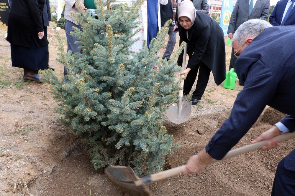 Polis Akademisi Kampüsüne 15 Temmuz Şehitliği Hatıra Ormanı