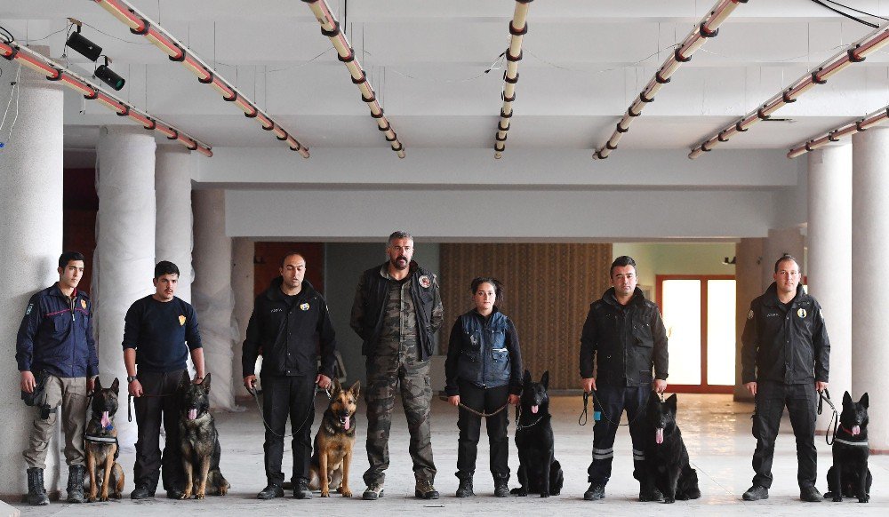 K-9 Bomba Arama Köpekleri Göreve Hazır