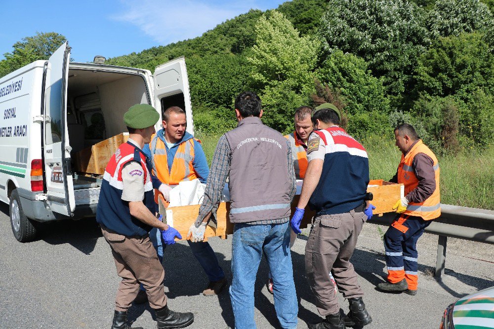 Lastiği Değiştirmek İçin Emniyet Şeridinde Bekleyen Tıra Otomobil Çarptı: 4 Ölü