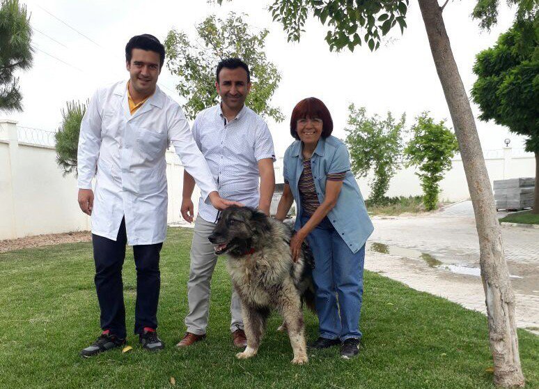 Manisa’da Köpeğe İşkence Yapan Şahıslar Yakalandı