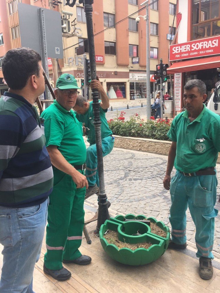 Milas’ta Çiçekler Aydınlatmalarda Soldu