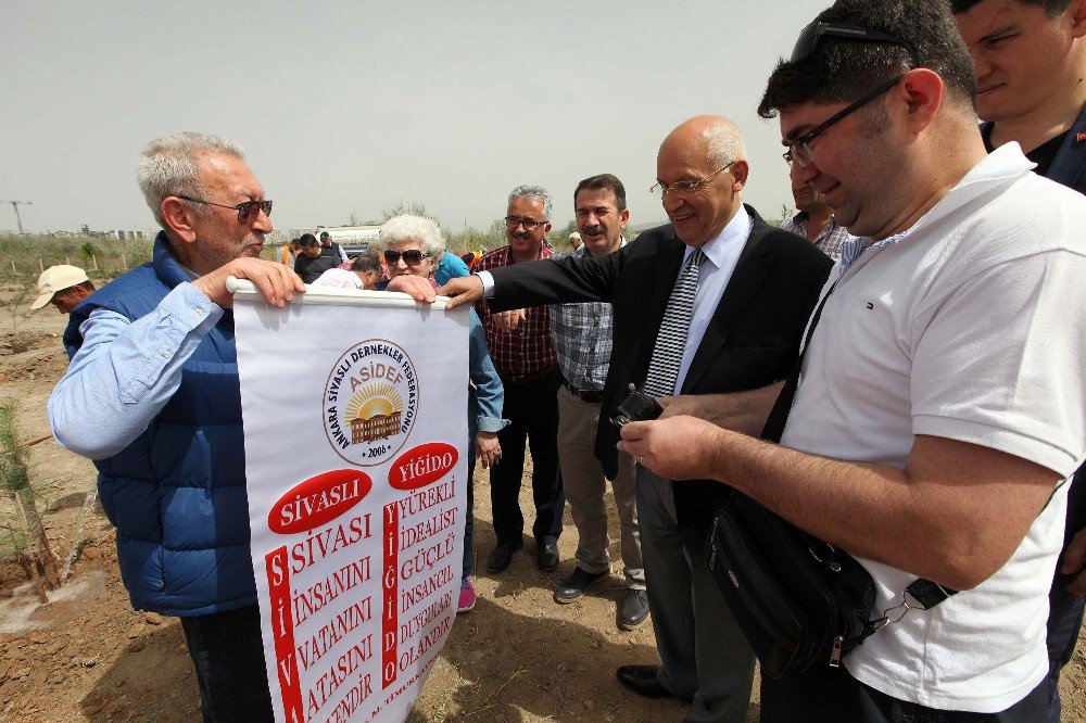 Yenimahalle Belediyesi’nden Sivaslılara Hatıra Ormanı