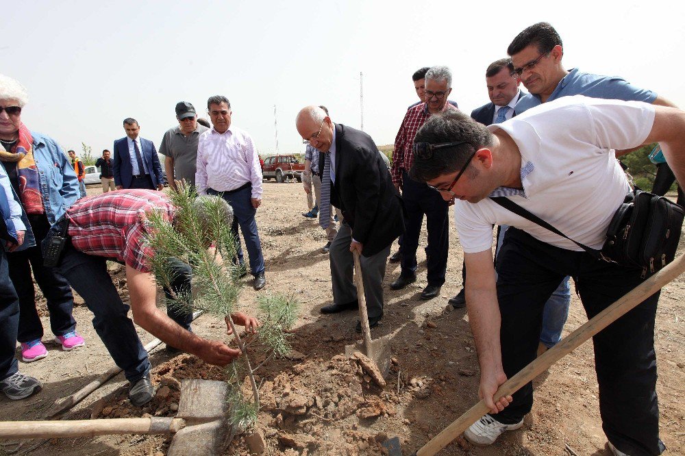 Yenimahalle Belediyesi’nden Sivaslılara Hatıra Ormanı