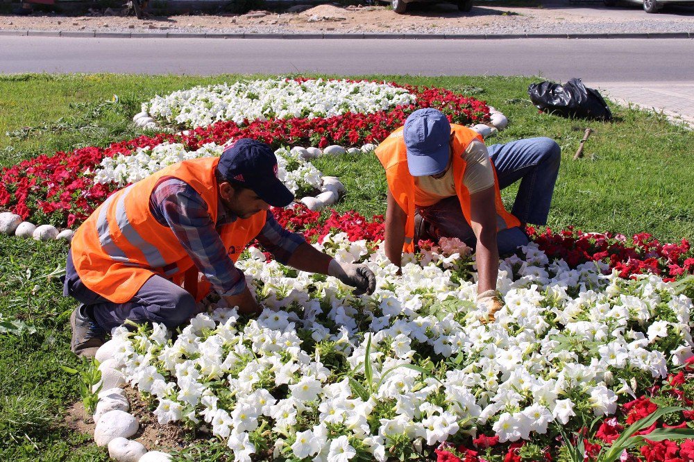 Manavgat’ta 186 Bin Mevsimlik Çiçek