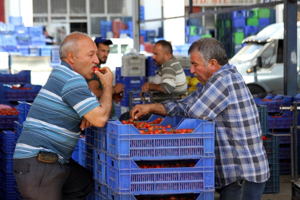 Rusya Kapısı Açılmazsa Domatesler Salça Olacak