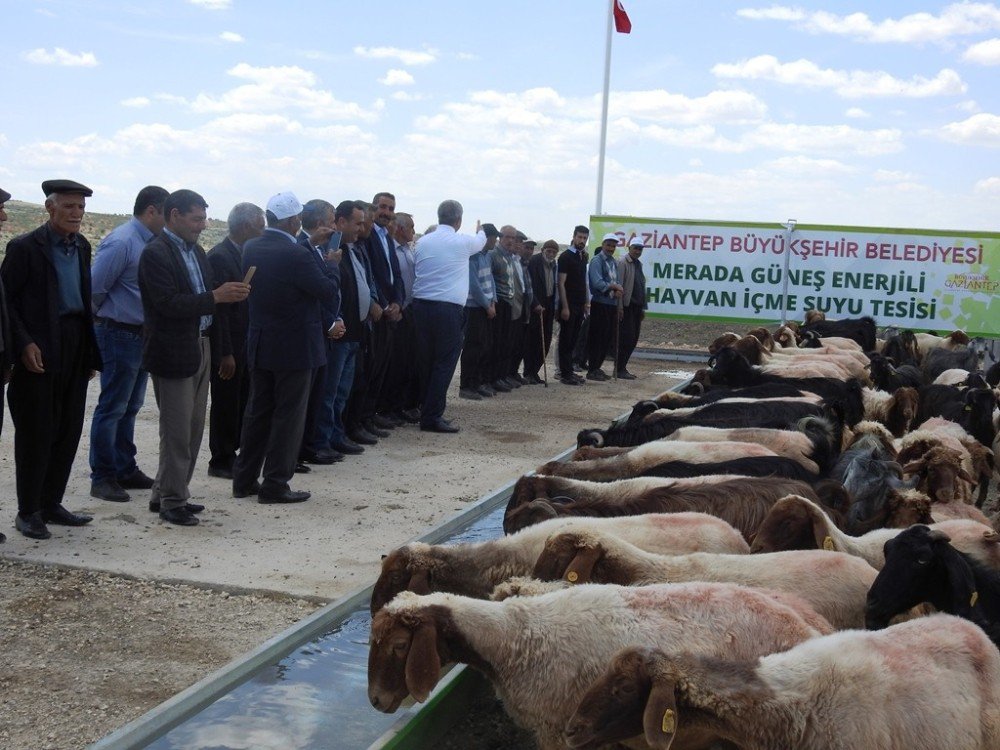 Büyükşehir’den Güneş Enerjili İçme Suyu