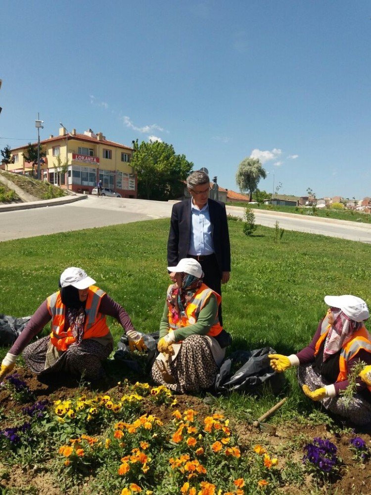 Başkan Yardımcısı Avcıoğlu Çalışmaları İnceledi